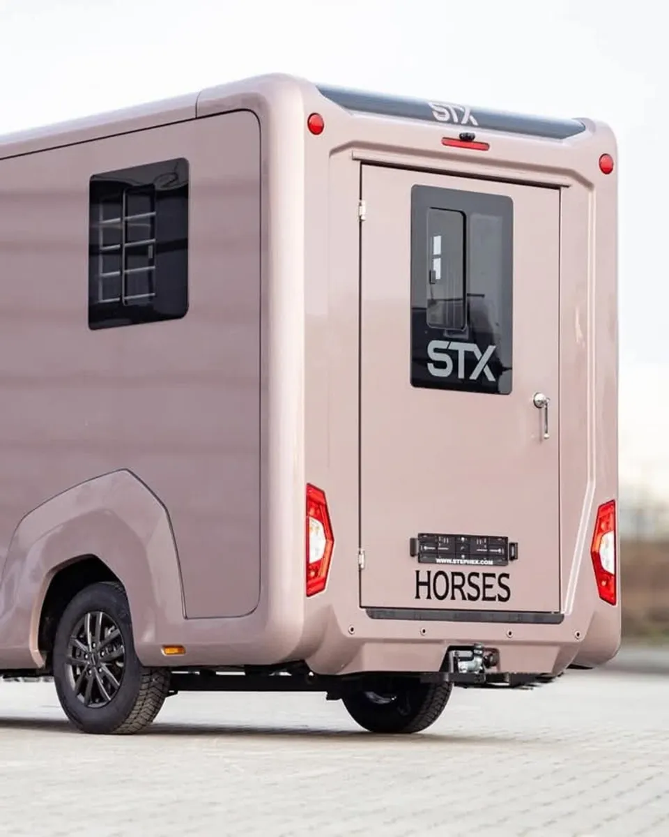 The New STX  2 stall Horsetruck - Image 2