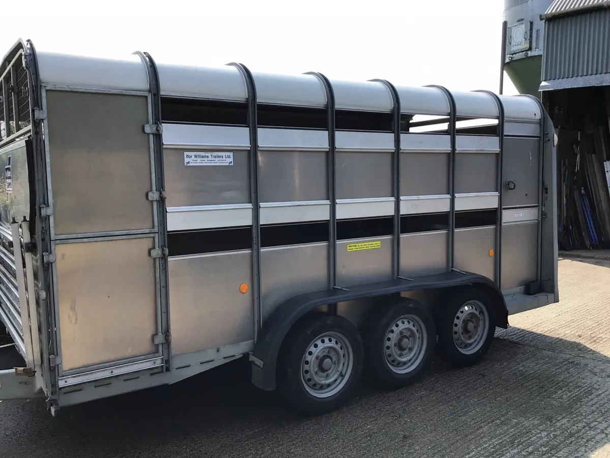 14 ft Ivor Williams Sheep trailer - Image 1