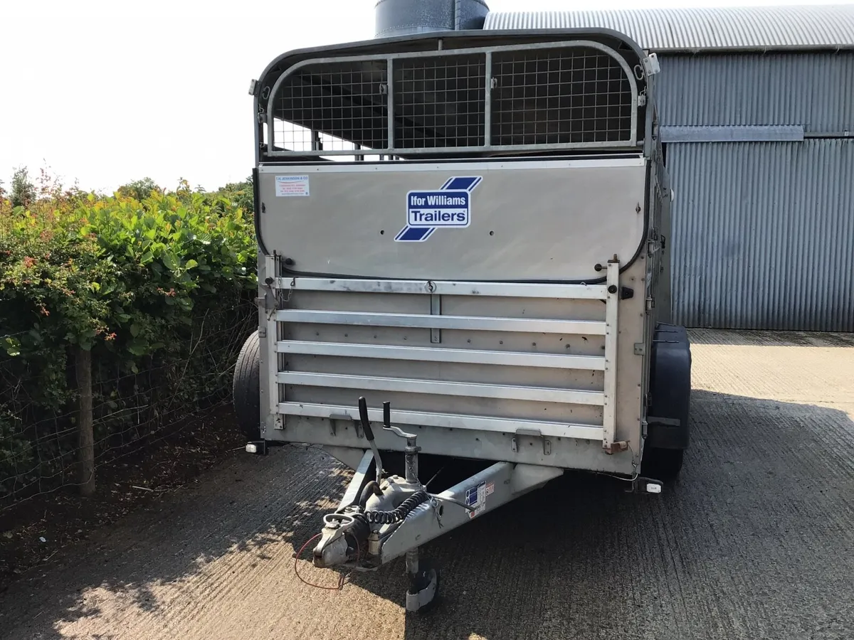 14 ft Ivor Williams Sheep trailer - Image 2