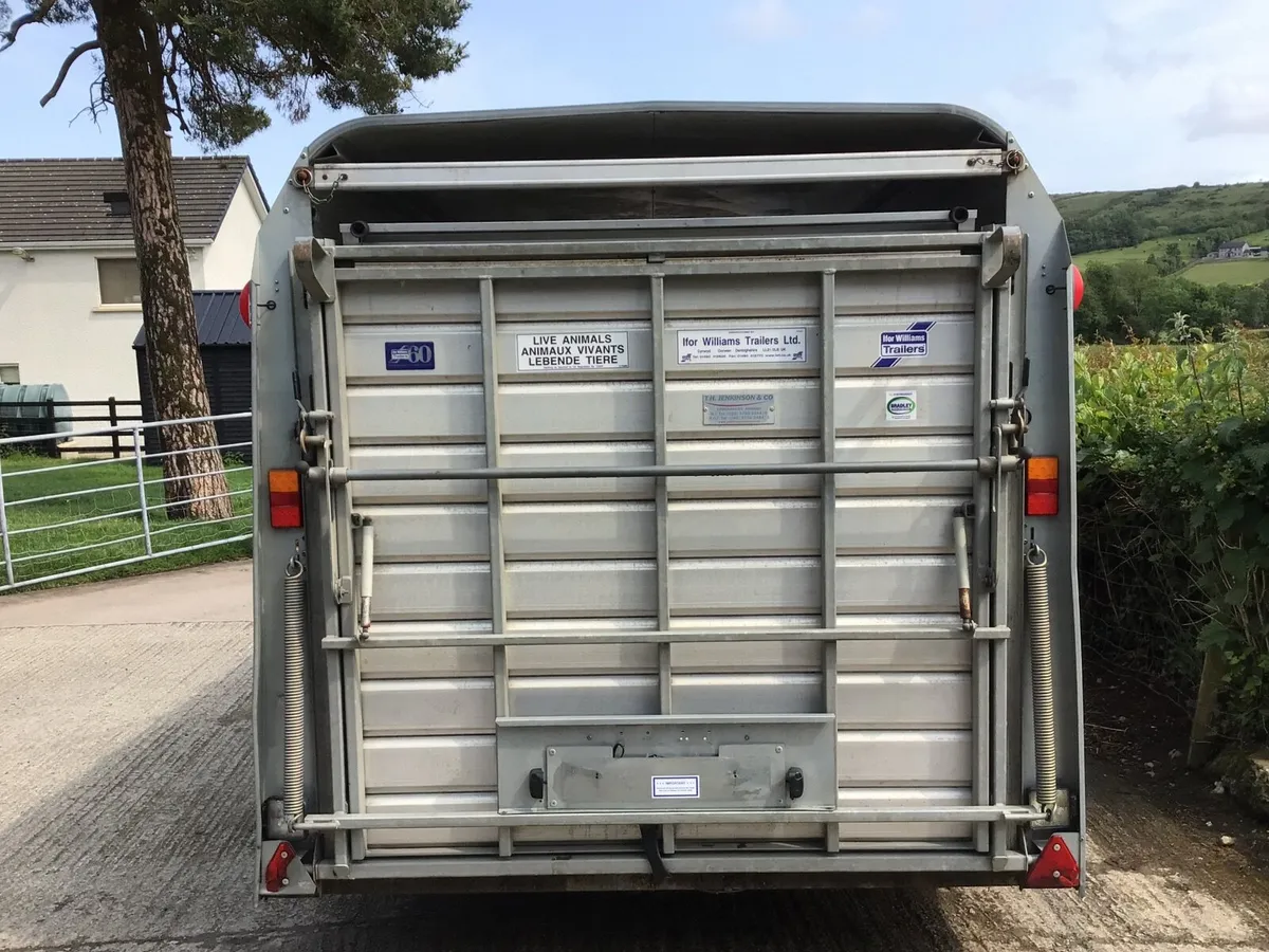 14 ft Ivor Williams Sheep trailer - Image 4