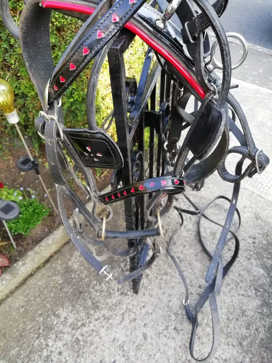 Shetland harness - Image 1