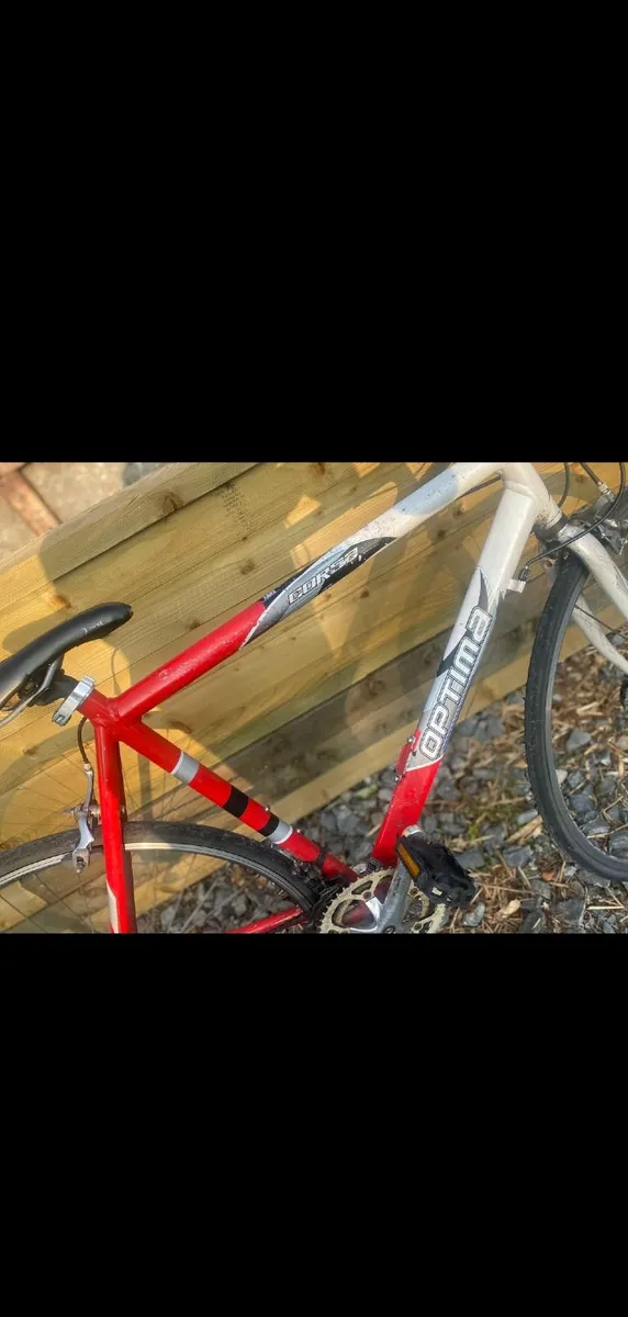 Pushbike - Image 4