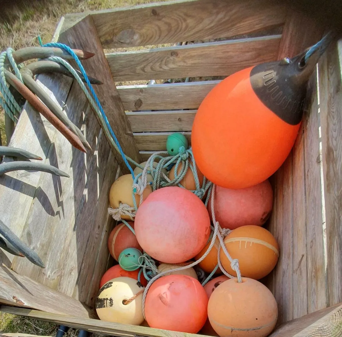 Turbot Nets and Gear - Image 2