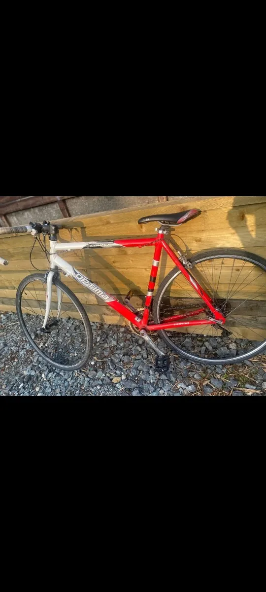 Pushbike - Image 3