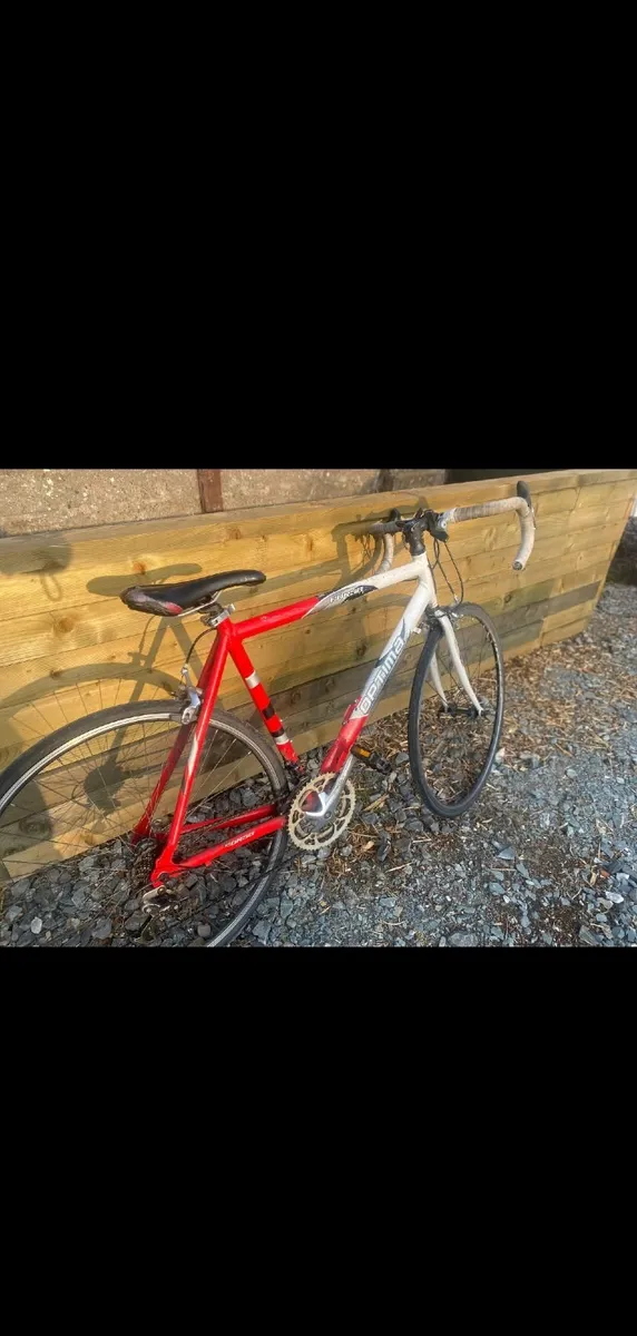 Pushbike - Image 1