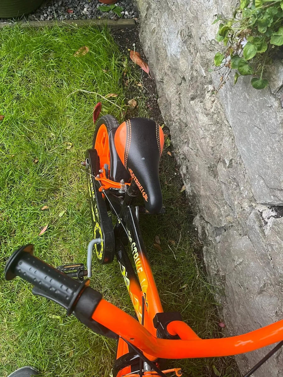 Fantastic Strike 14 Bike - Image 4