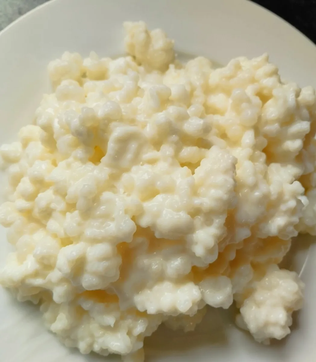 Milk Kefir Grains P&P INCLUDED - Image 2