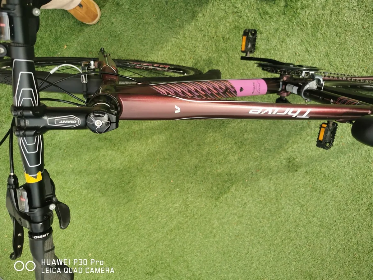 Bycicle Treck Live Thrive 3 "PRICED TO SELL" - Image 4