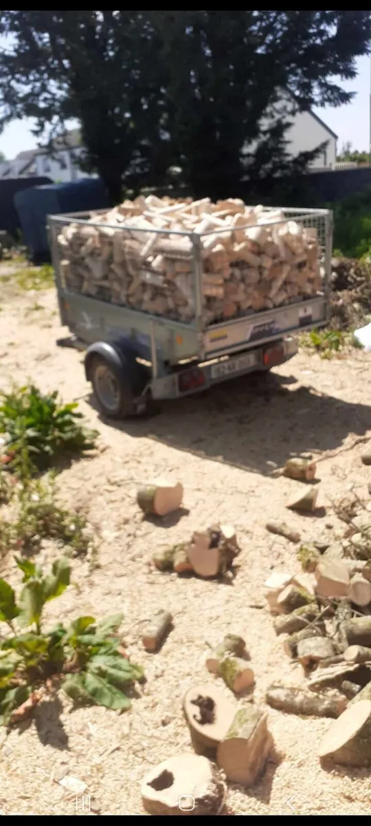 ash firewood - Image 3