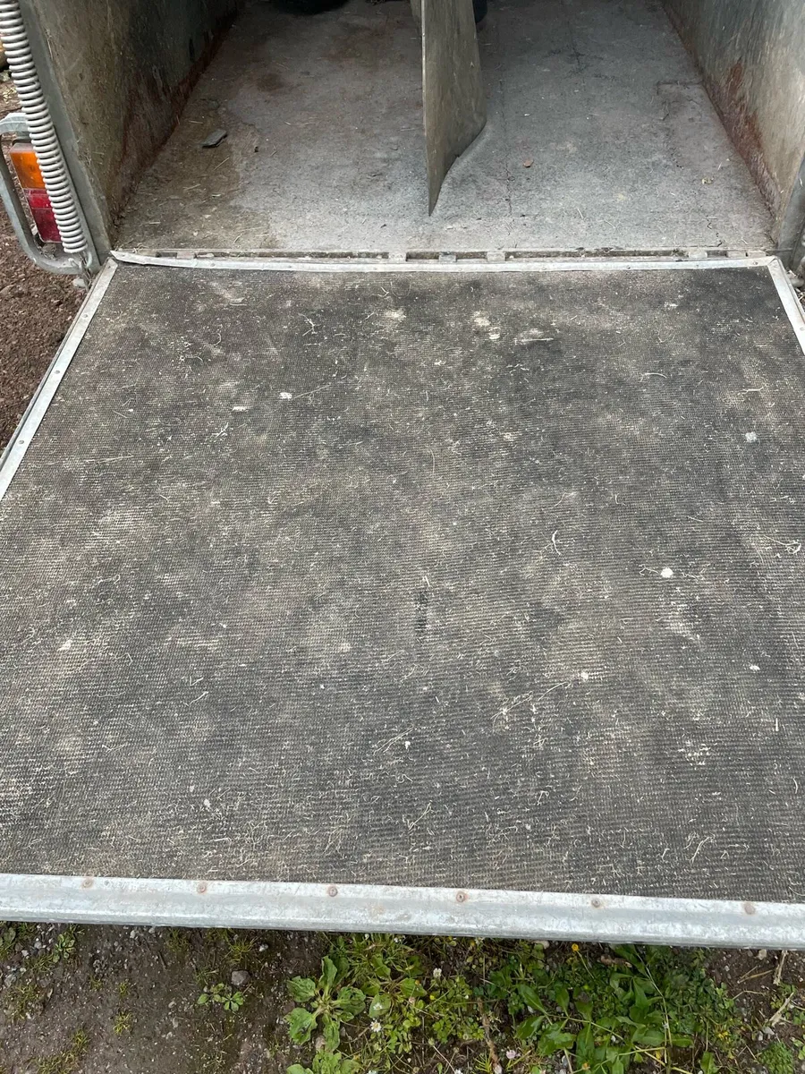 Horsebox - Image 3