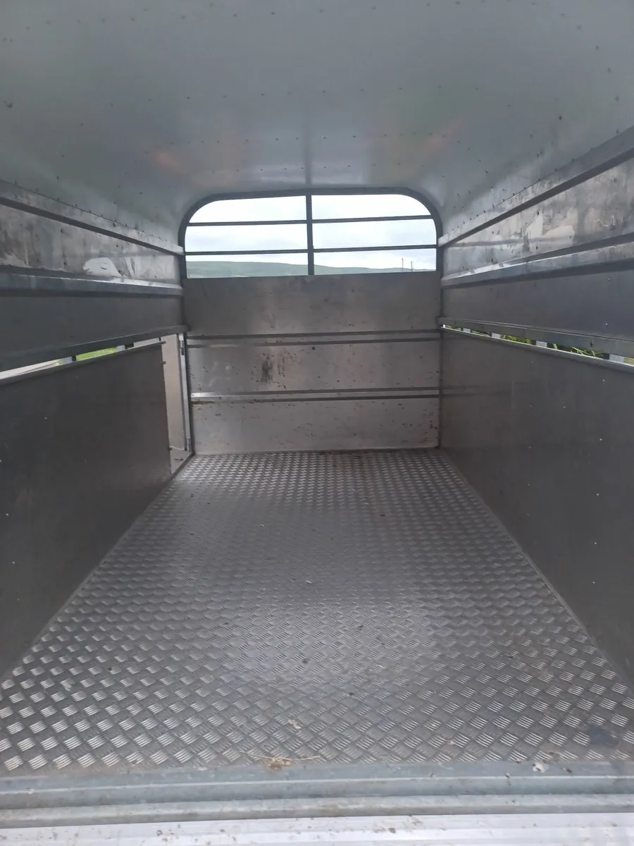 Murphy 10 x 5' 9" Cattle Trailer For Sale - Image 3