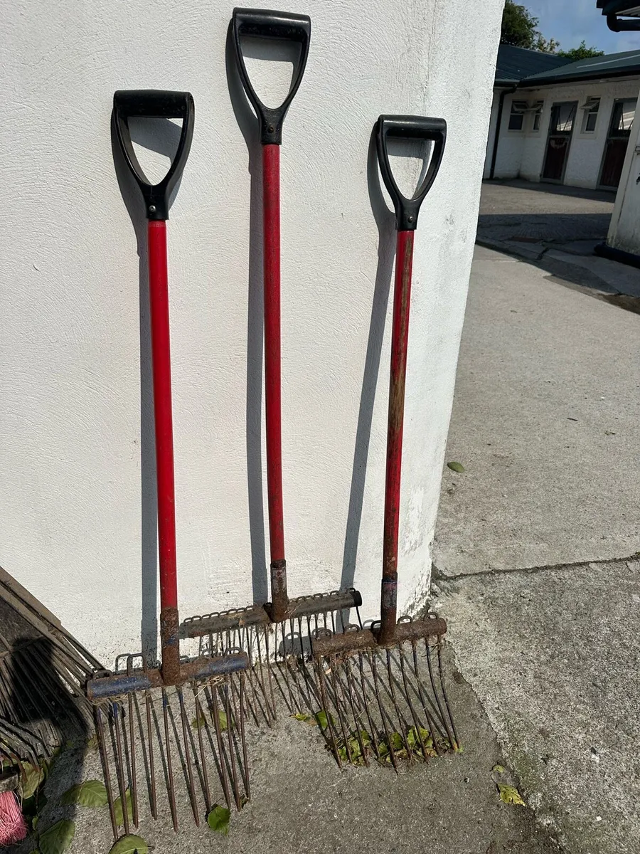 Yard fork/brushes - Image 1