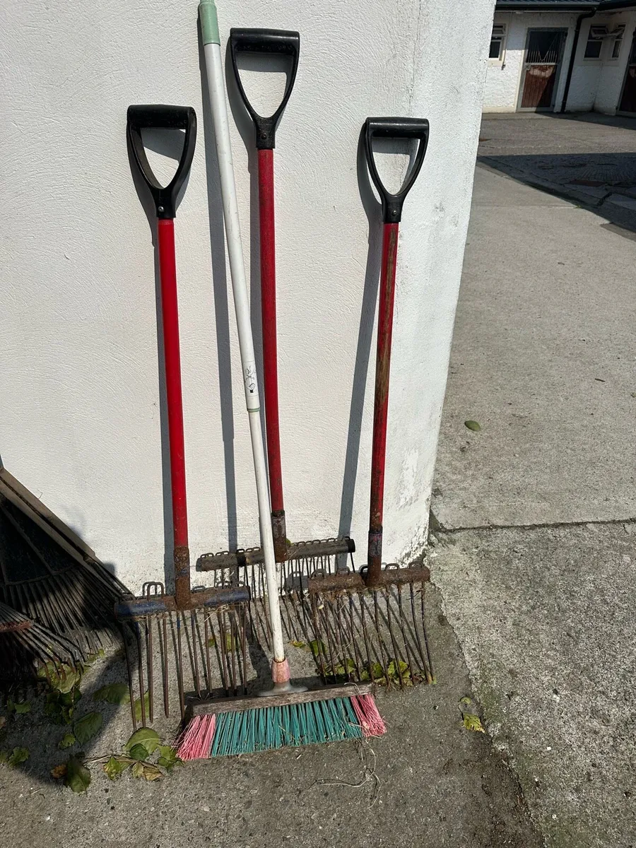 Yard fork/brushes - Image 2