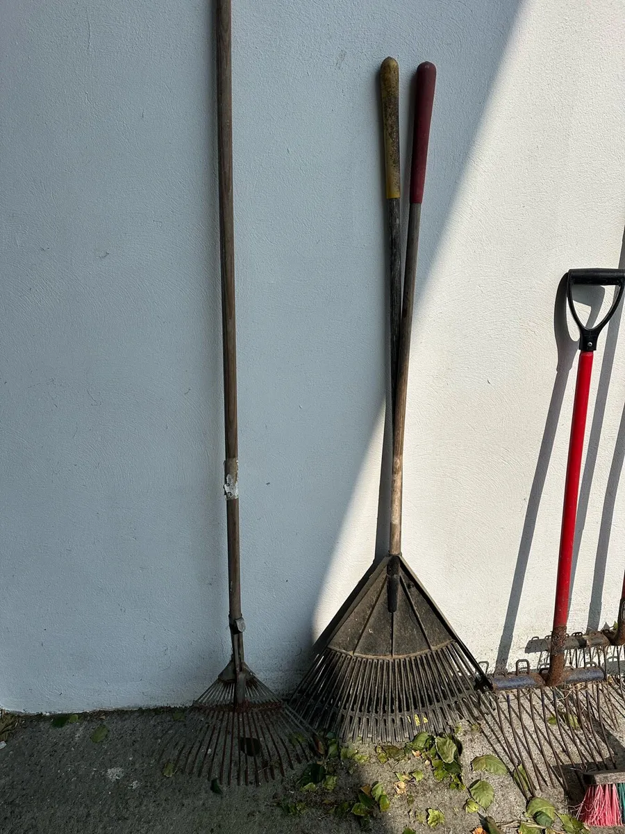 Yard fork/brushes - Image 3