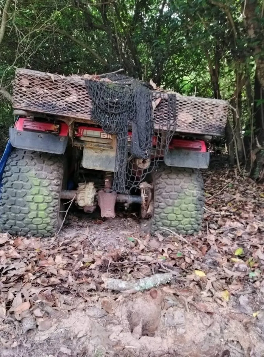 I BUY QUADS & MOTORCYCLES running or non runners - Image 1