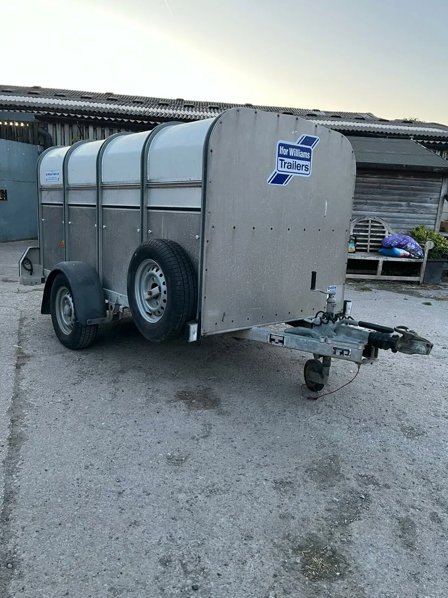 P8g Ifor williams - Image 2