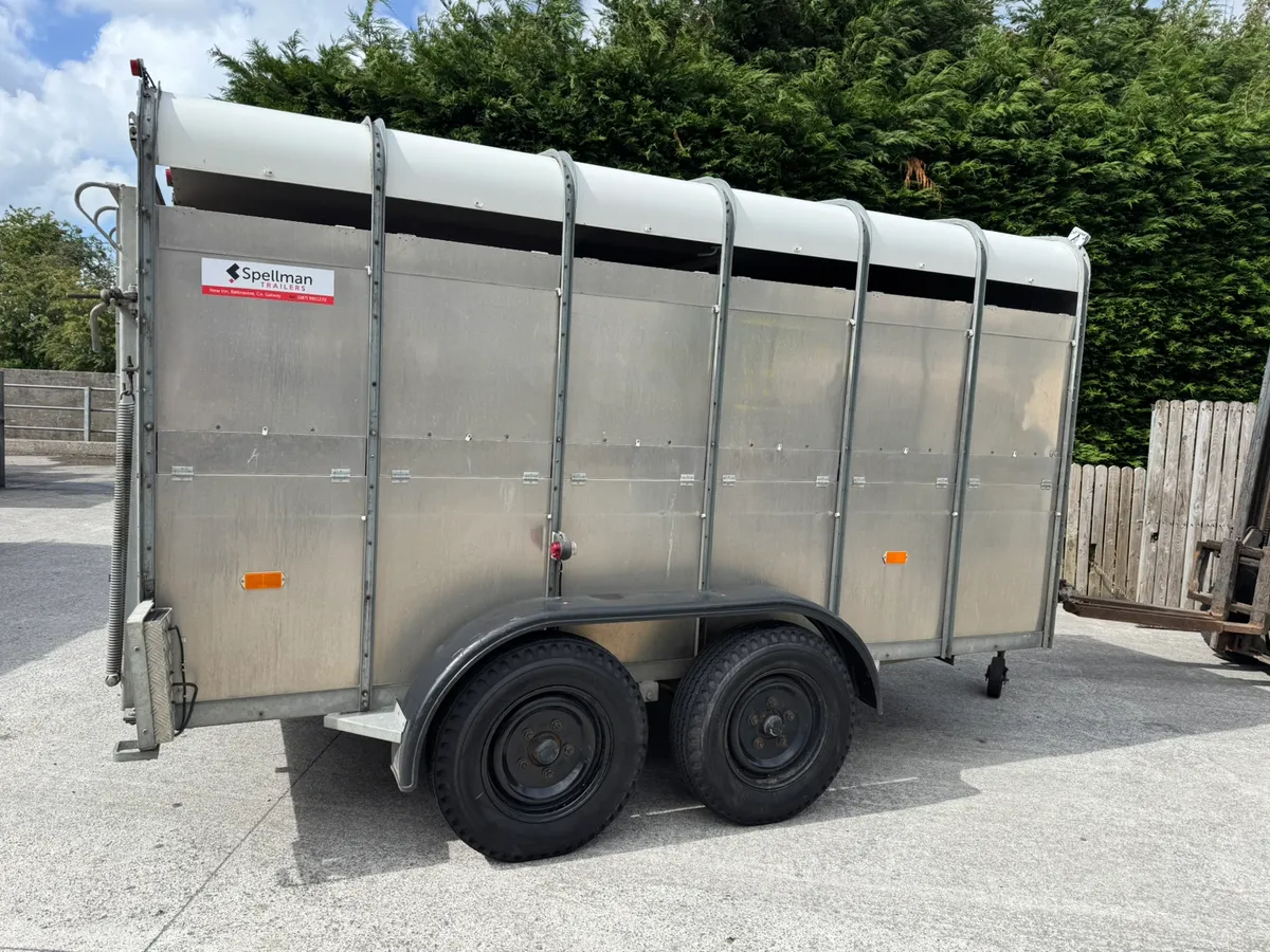 Hudson livestock trailer - Image 4