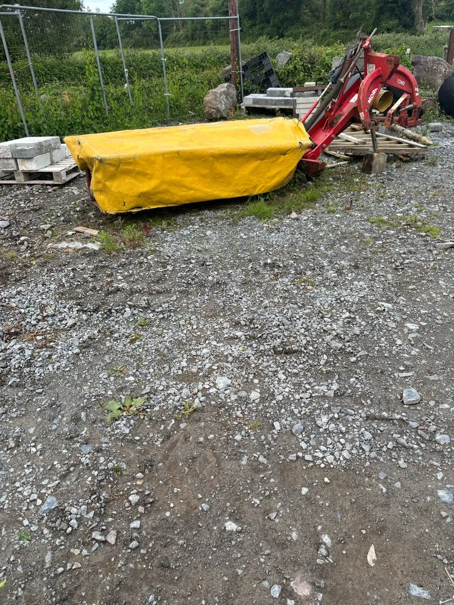 Mower - Image 1