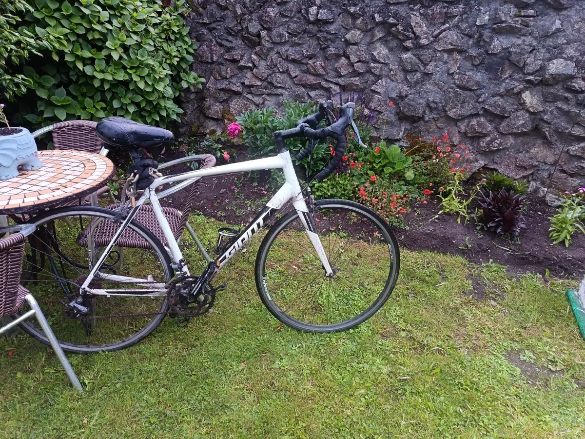 Giant Contend Bike