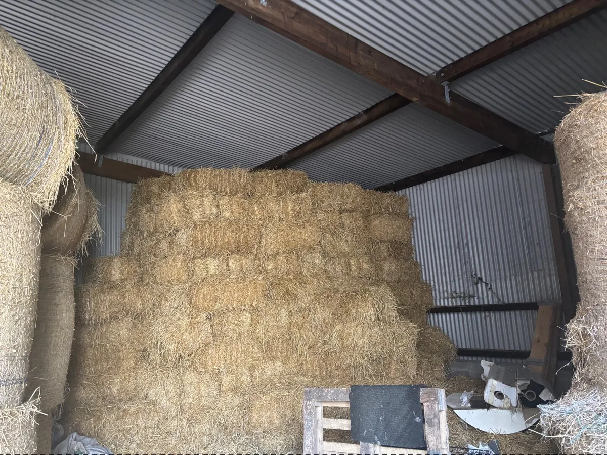 Straw - Image 1