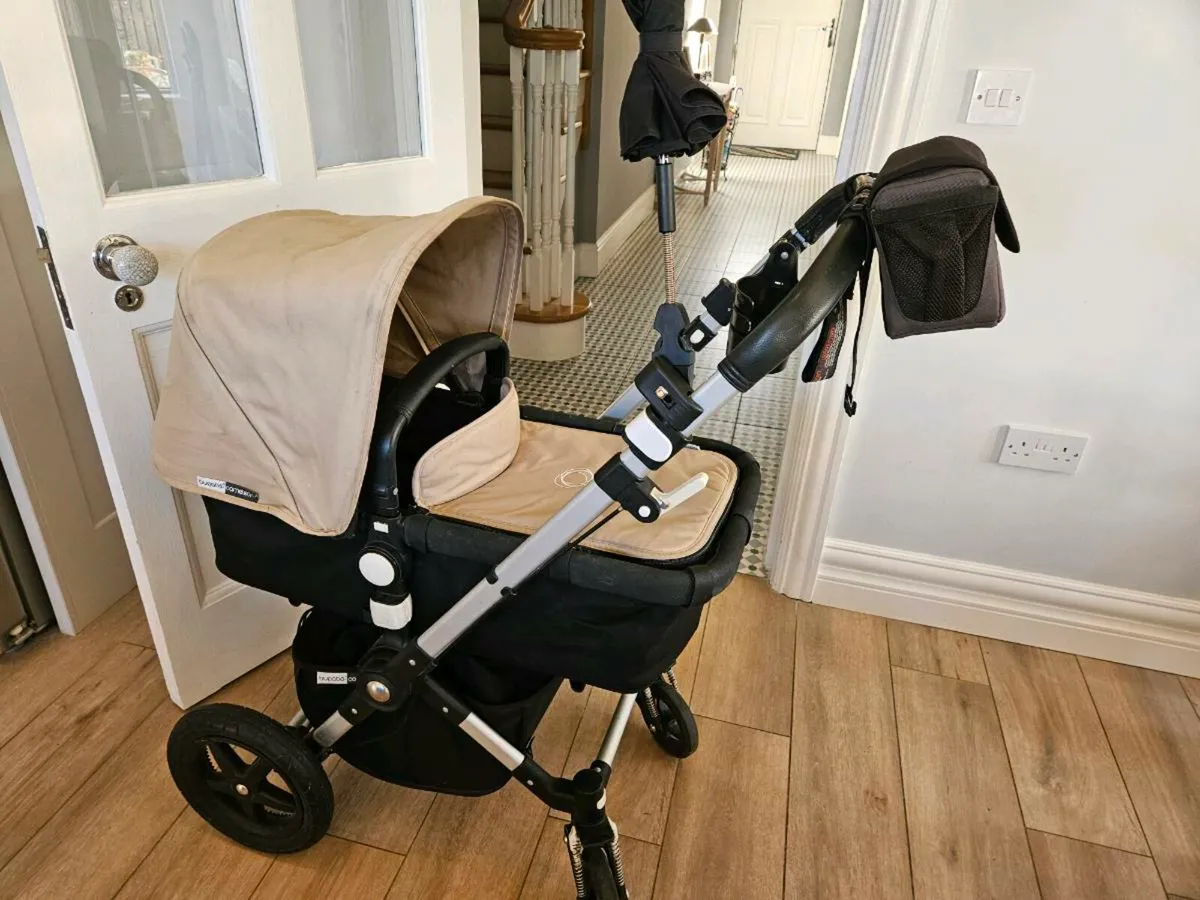 Buggy - Image 1