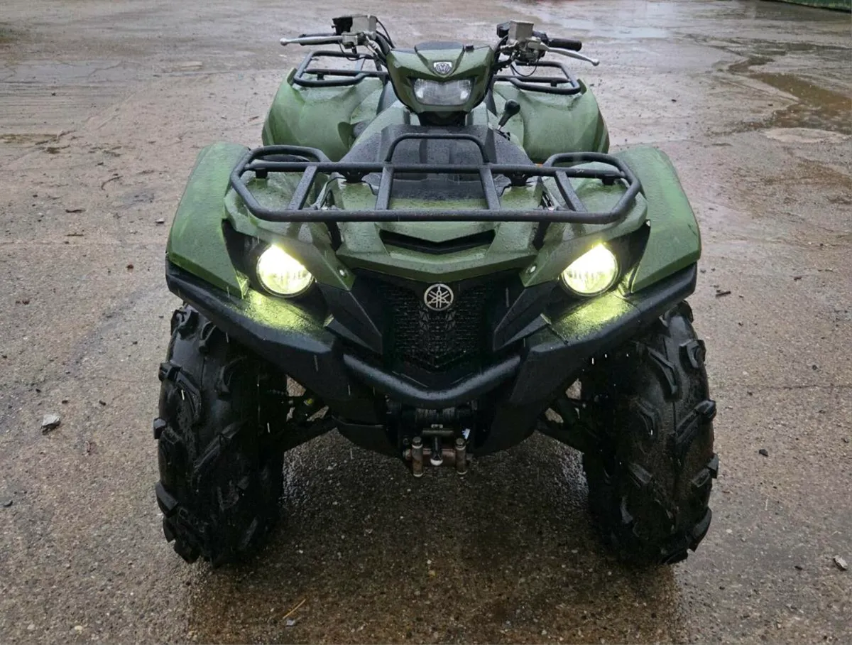 Yamaha Grizzly 700 - Image 1