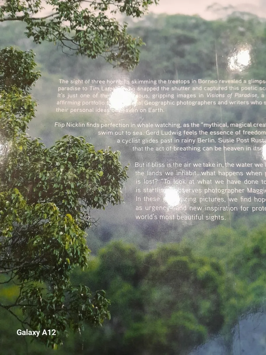 Natural geographic visions of Paradise - Image 2