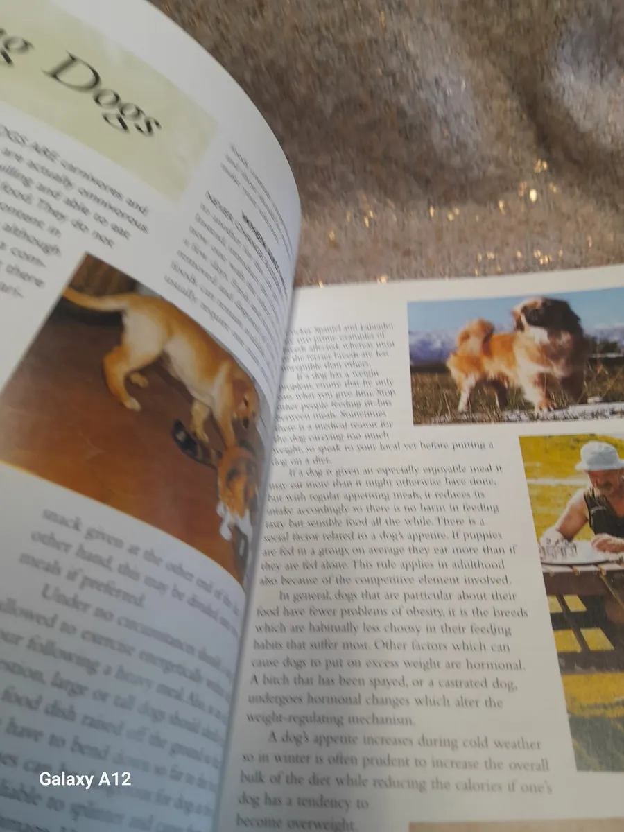The encyclopedia of dog breeds - Image 2
