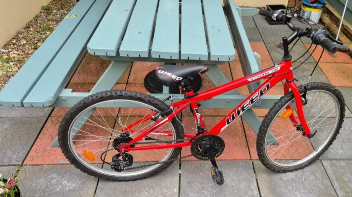 Boys Bicycle - Image 2