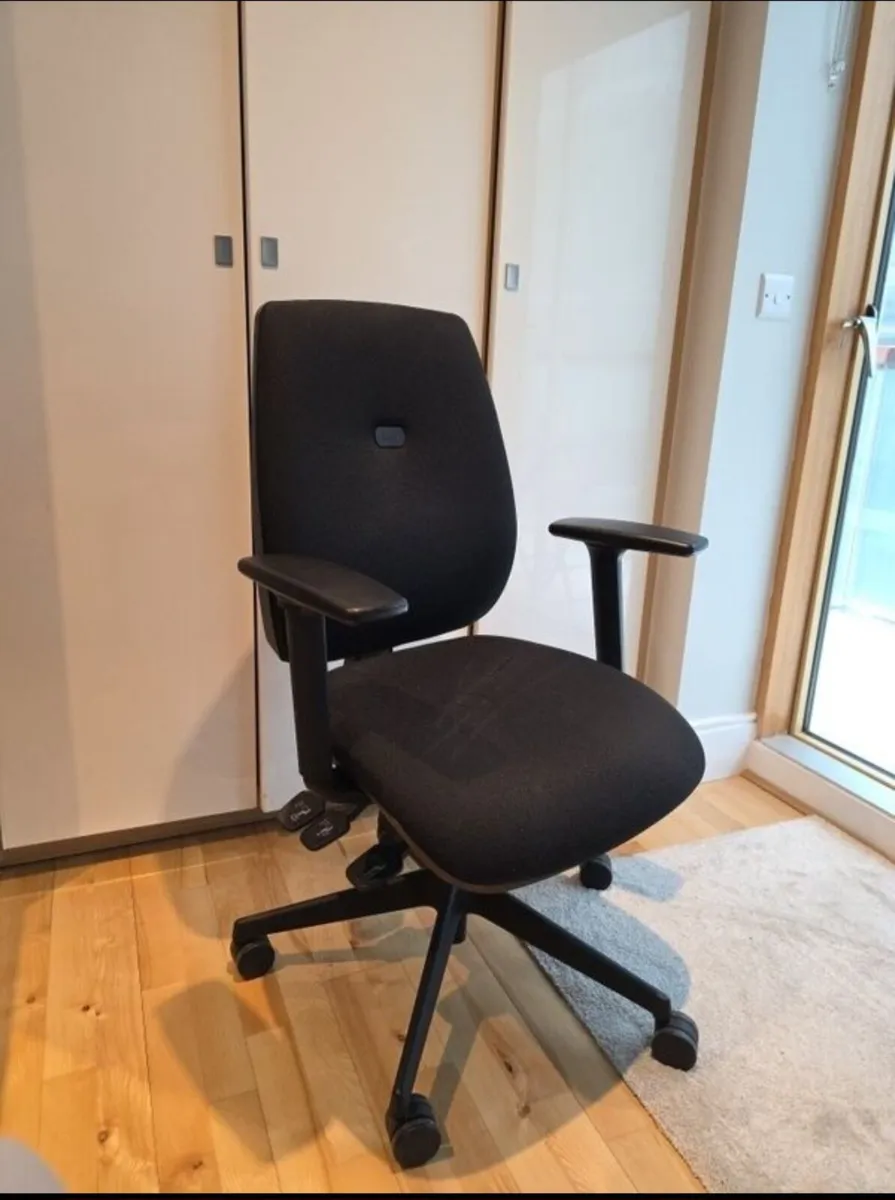 Home Office Ergonomic Chair - Image 1