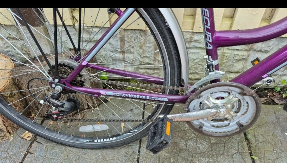 Ladies Bike - Image 3