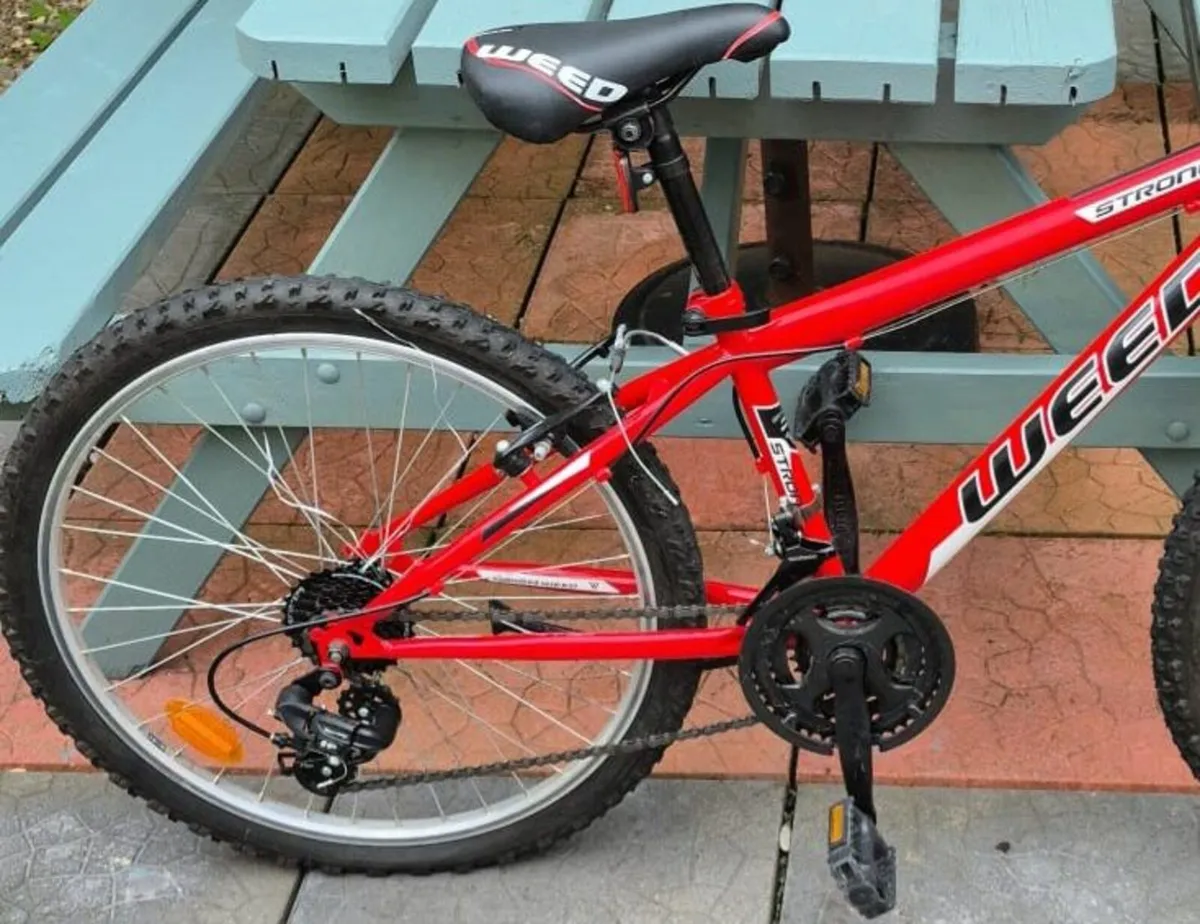 Boys Bicycle - Image 4