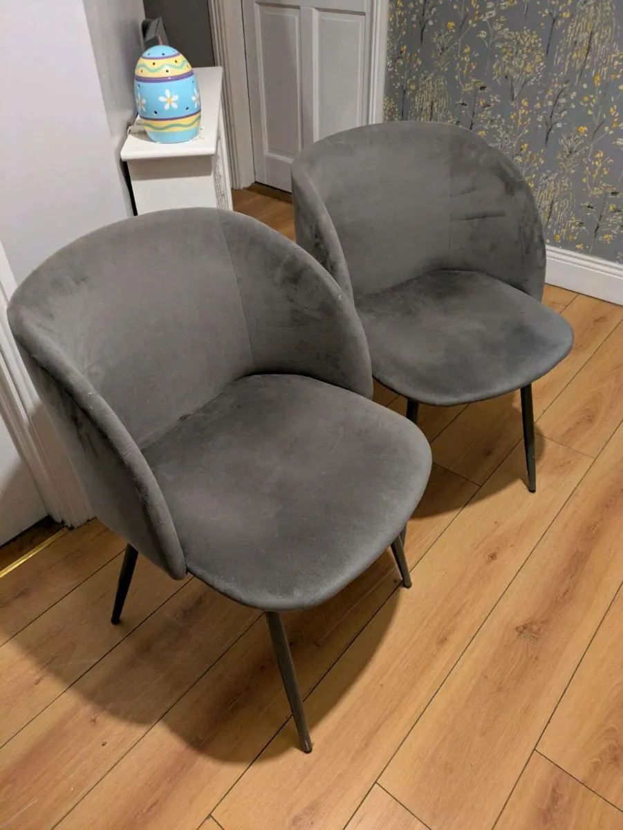 Grey velvet dining chairs - Image 1
