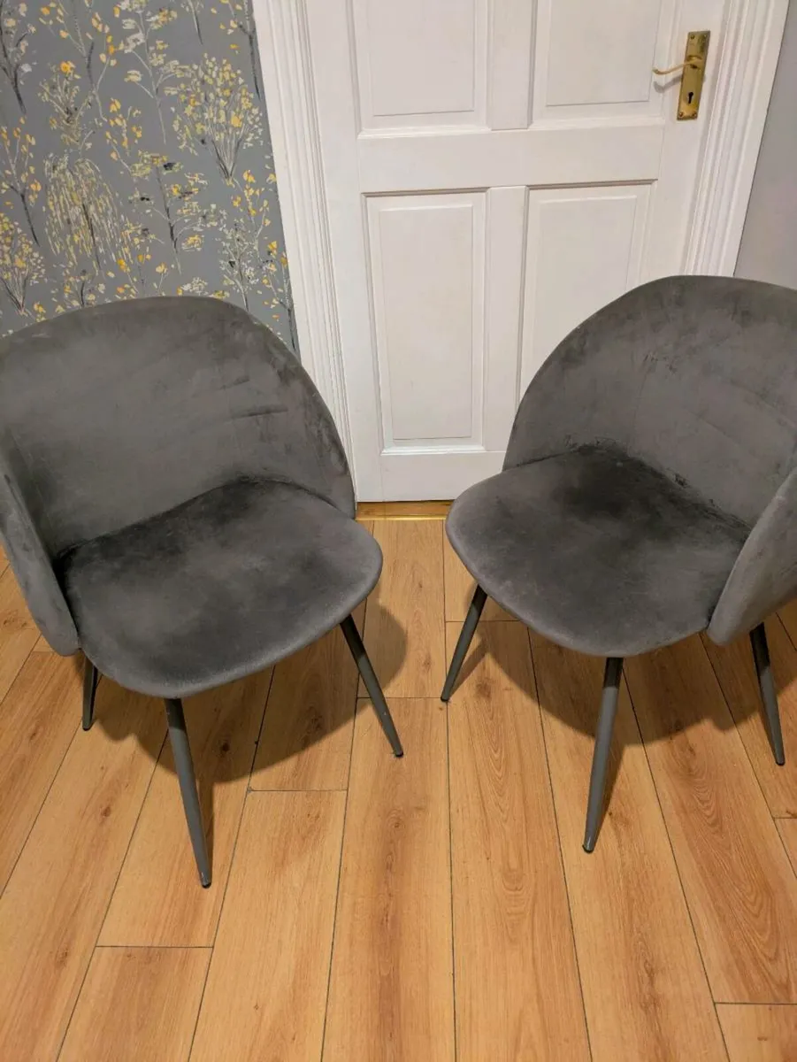 Grey velvet dining chairs - Image 2