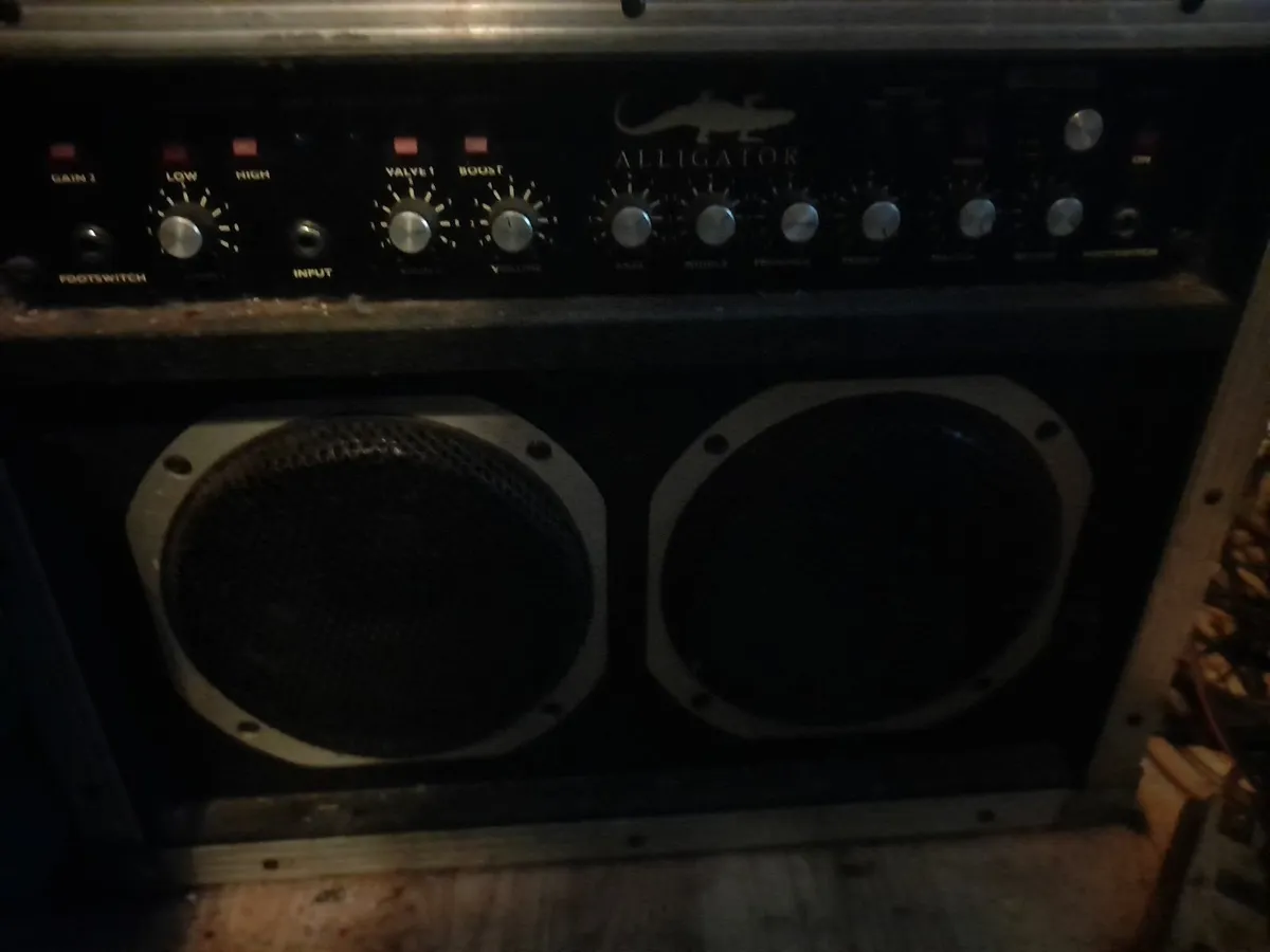 A Chris larkin alligator guitar amp - Image 1