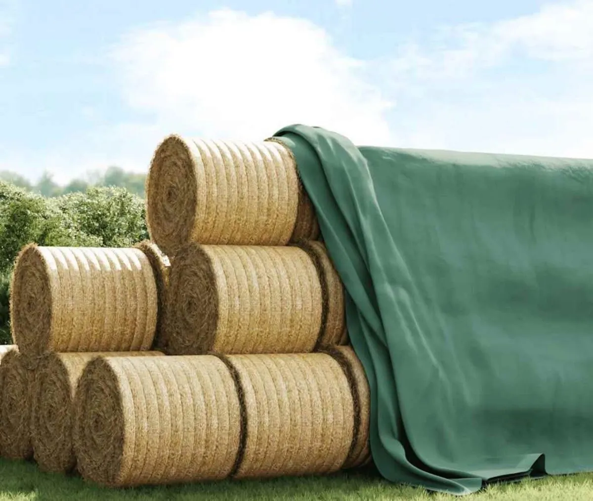 tarpaulin covers - Image 2