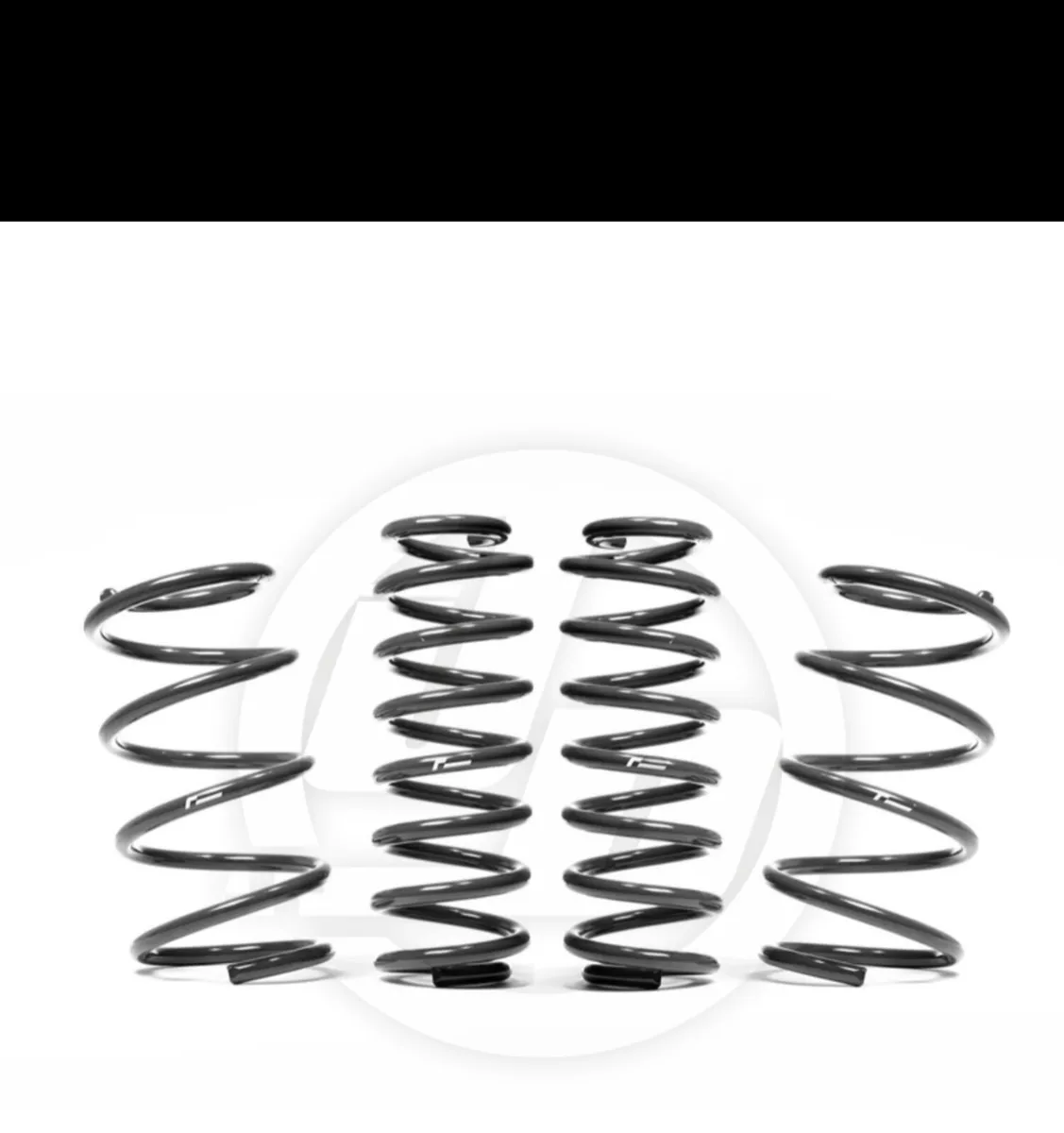 Raceline lowering springs