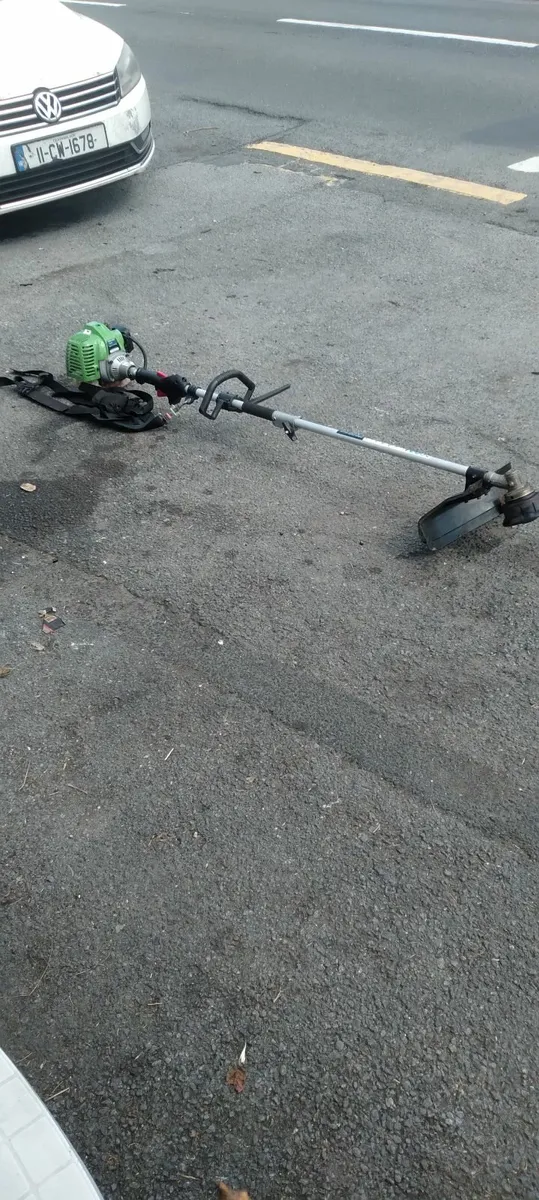 POR CUT PLUS GRASS STRIMMERS PRICED - Image 2