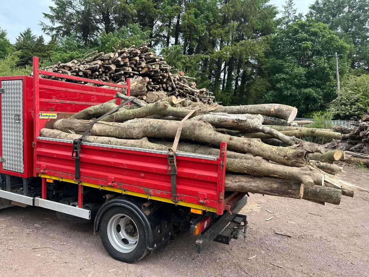 Firewood - Image 2