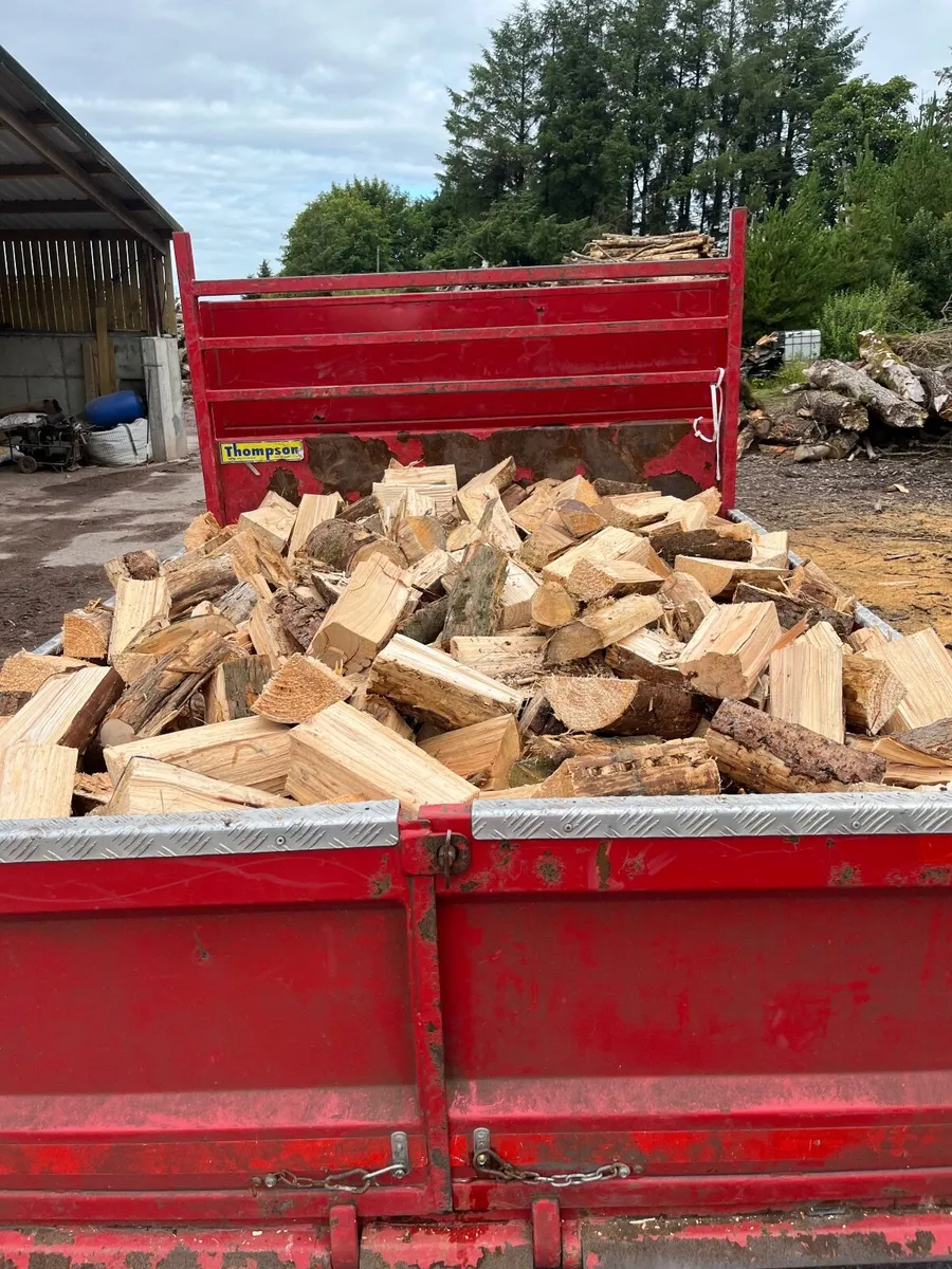 Firewood - Image 3