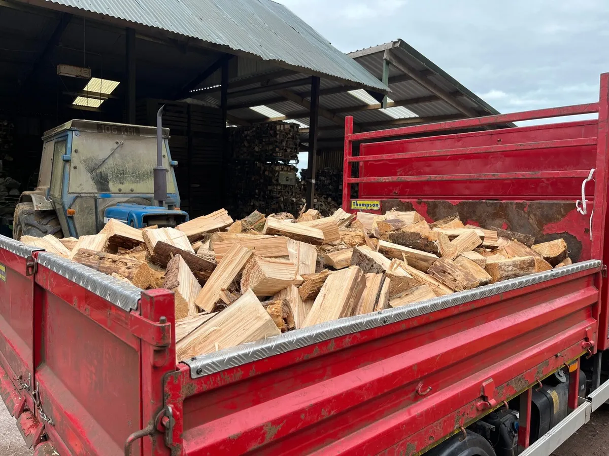 Firewood - Image 4