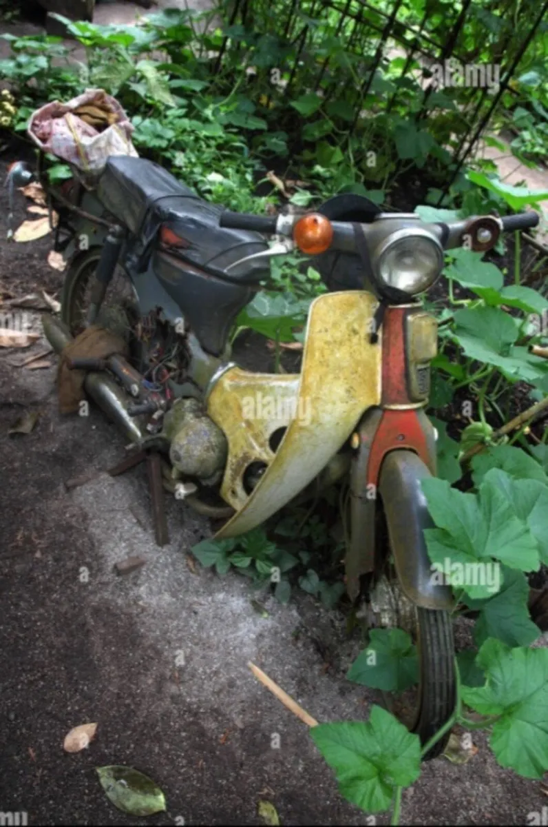 Honda Other 1972