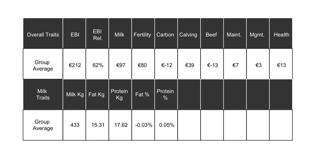 2 Pedigree Holstein Friesian Heifers - Image 4