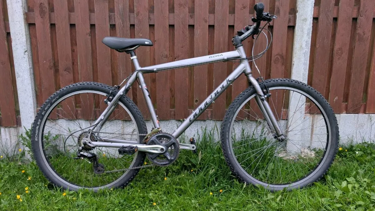 Ridgeback Bora 26" Large - Image 1