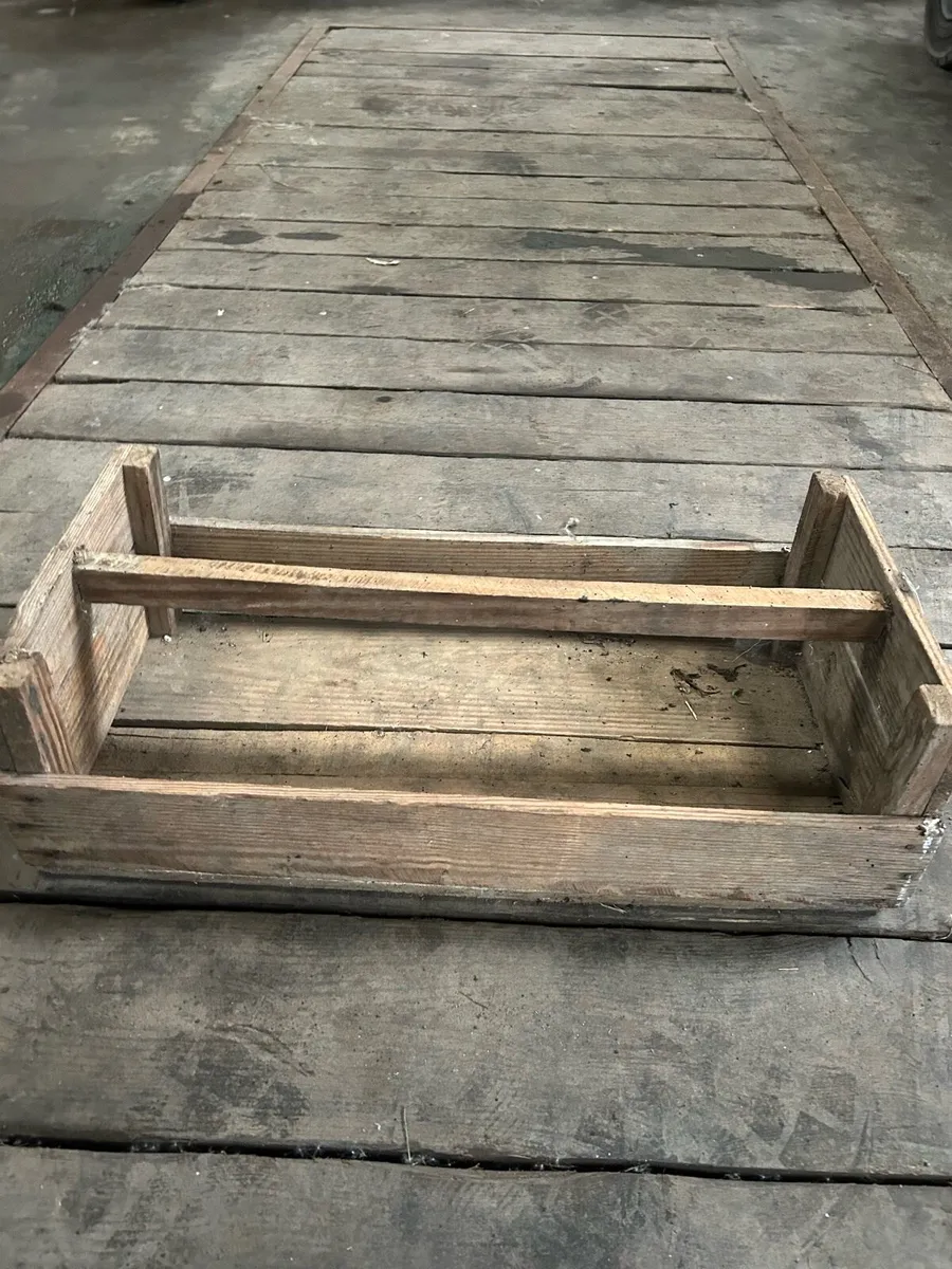 Potato sprouting boxes - Image 1