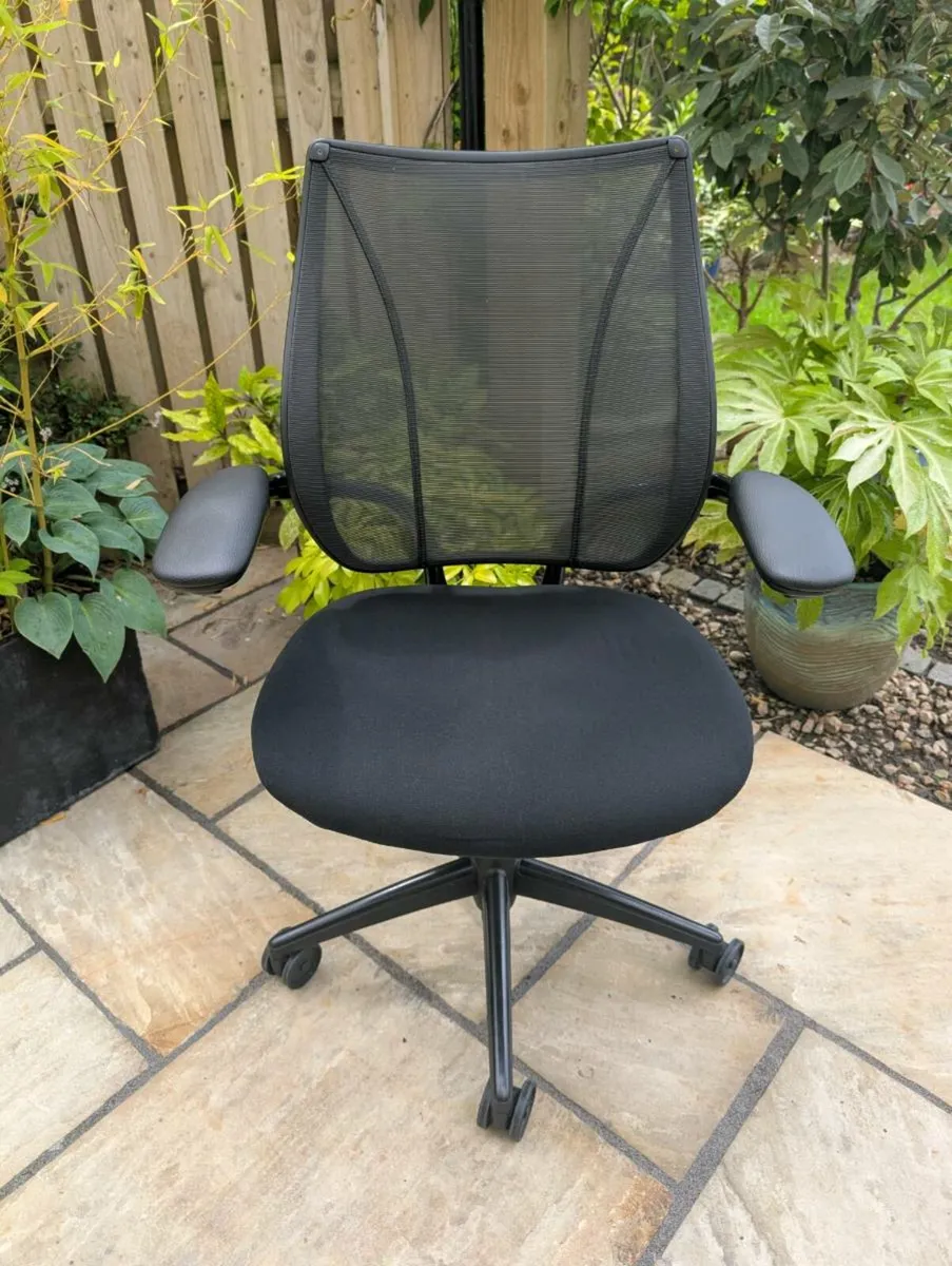 Ergonomic office chair - Image 1