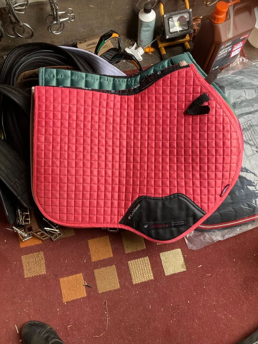 Le mieux saddle pads - Image 1