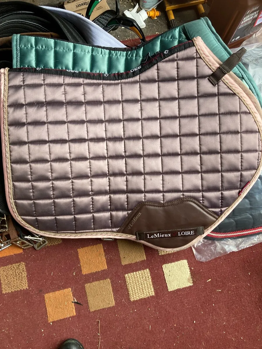 Le mieux saddle pads - Image 2