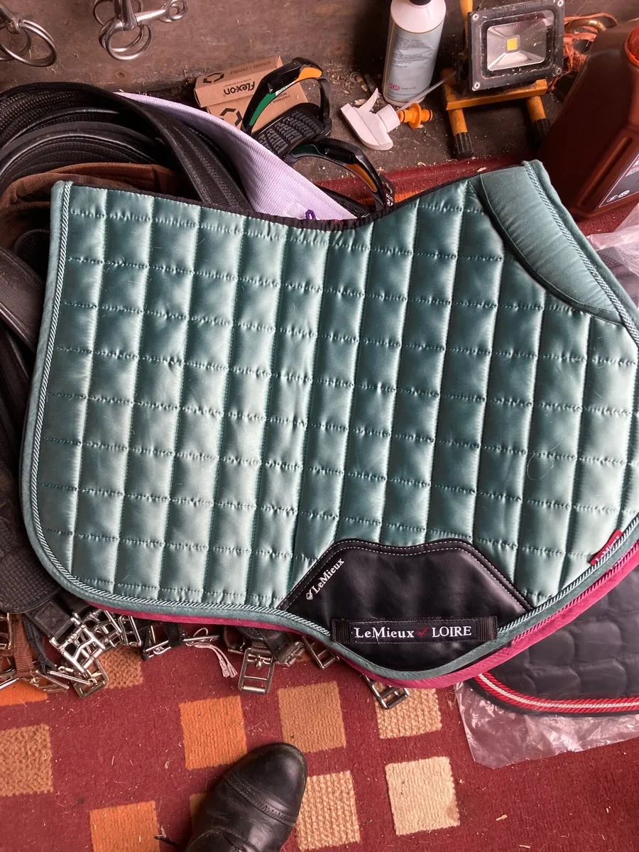 Le mieux saddle pads - Image 3