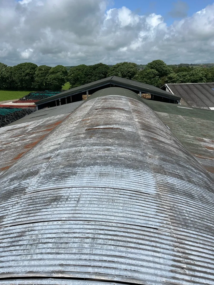 Shed - Image 1